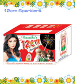 12cm Sparklers
